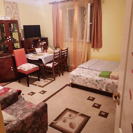Apartament Cu Doua Camere Si Gradina Cluj-Napoca Exterior foto