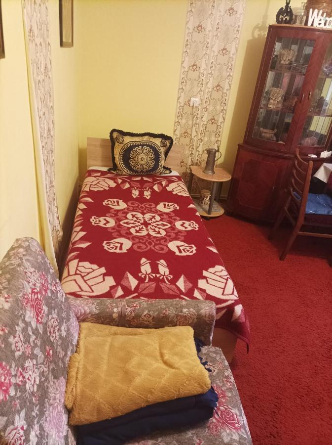 Apartament Cu Doua Camere Si Gradina Cluj-Napoca Exterior foto