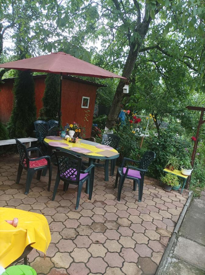 Apartament Cu Doua Camere Si Gradina Cluj-Napoca Exterior foto